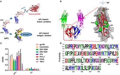 Engineered Soluble Monomeric IgG1 Fc with Significantly Decreased Non-Specific Binding